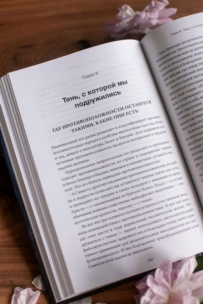 Танцующие с тенью. Архетип тени для трансформации внутренних демонов в силу и свободу