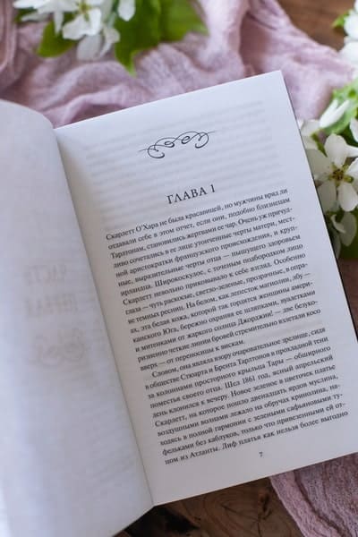 Унесённые ветром. Том 1