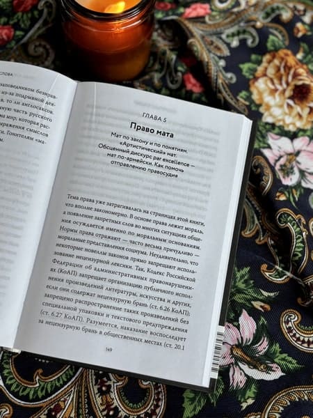 Запретные слова. Заметки лингвистов о русском мате