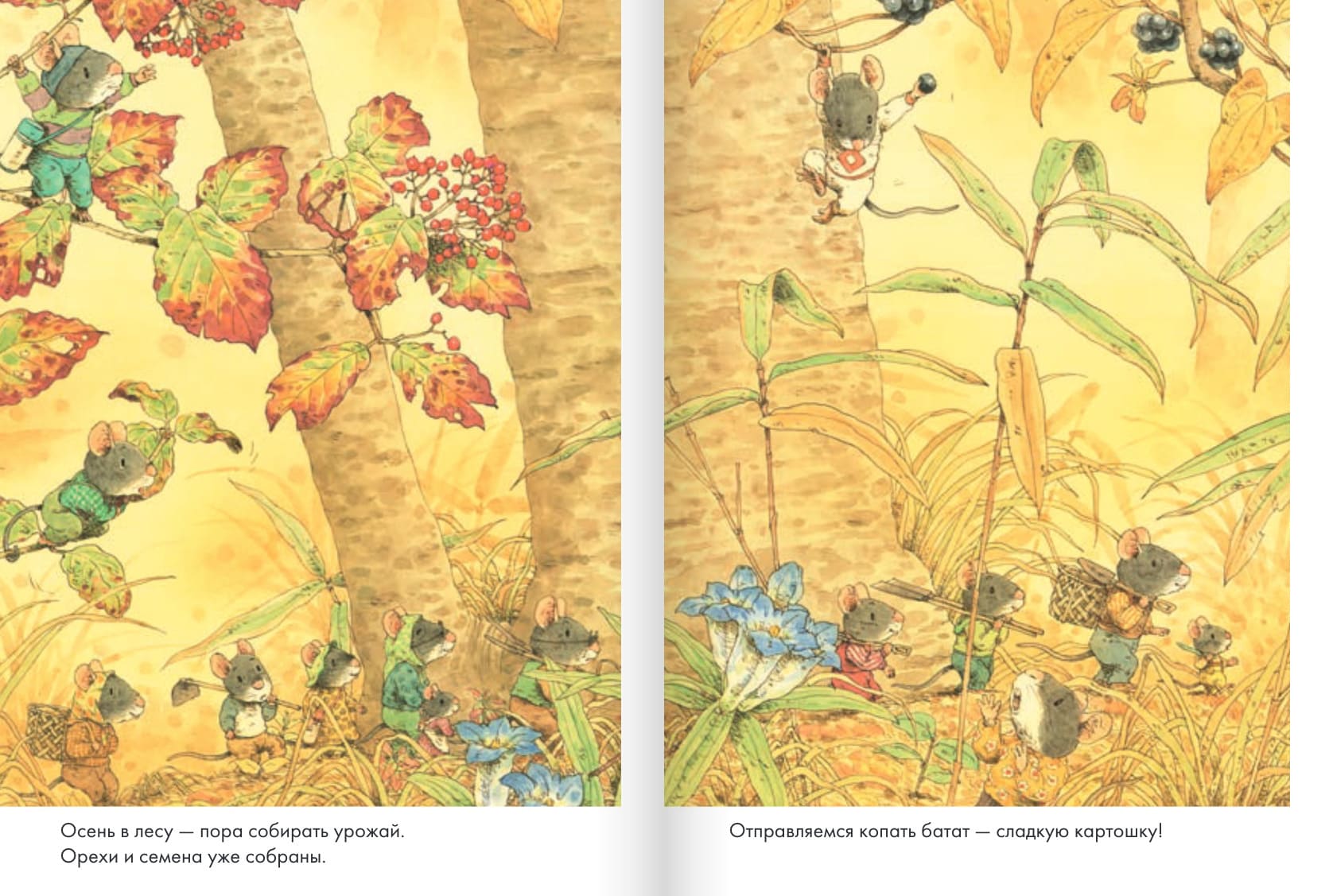 14 лесных мышей. Сладкая картошка (мини-формат)