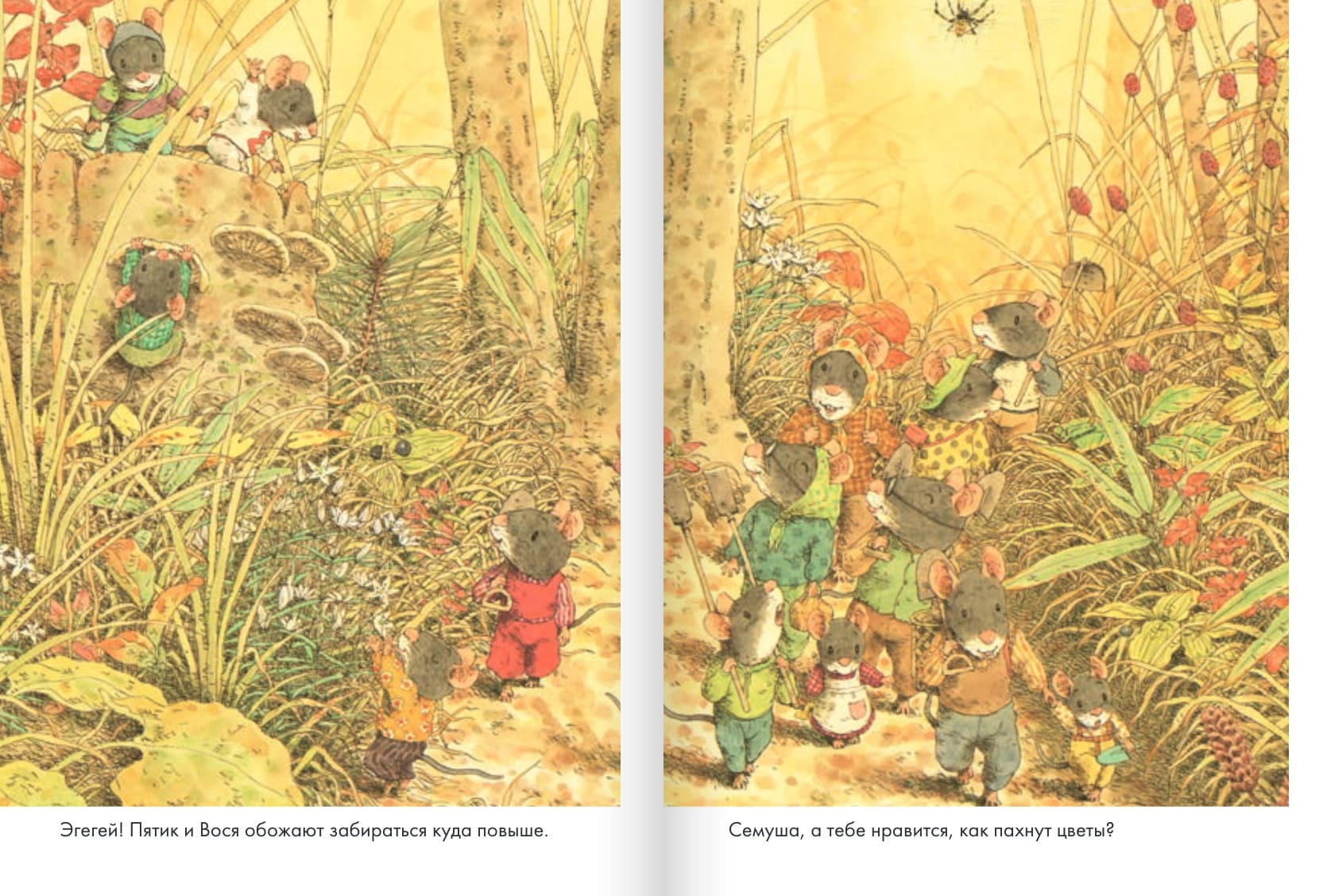 14 лесных мышей. Сладкая картошка (мини-формат)