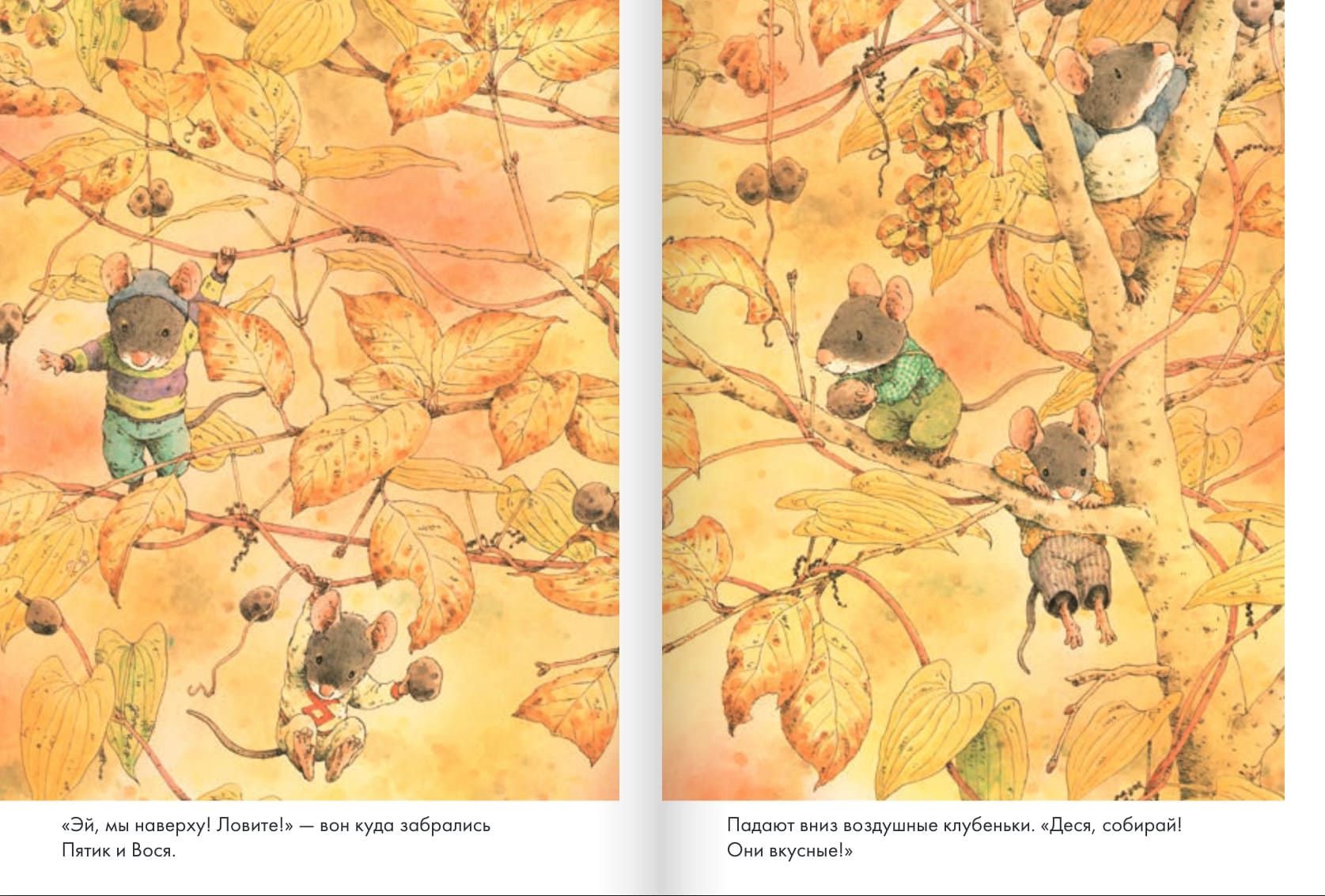 14 лесных мышей. Сладкая картошка (мини-формат)