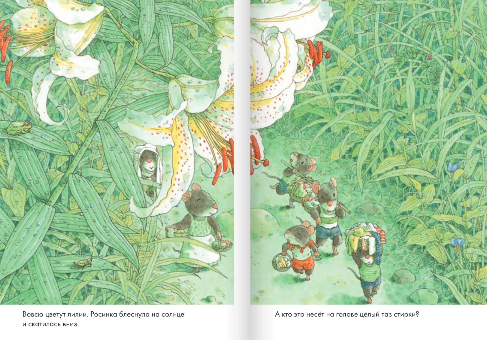 14 лесных мышей. Стирка (мини-формат)