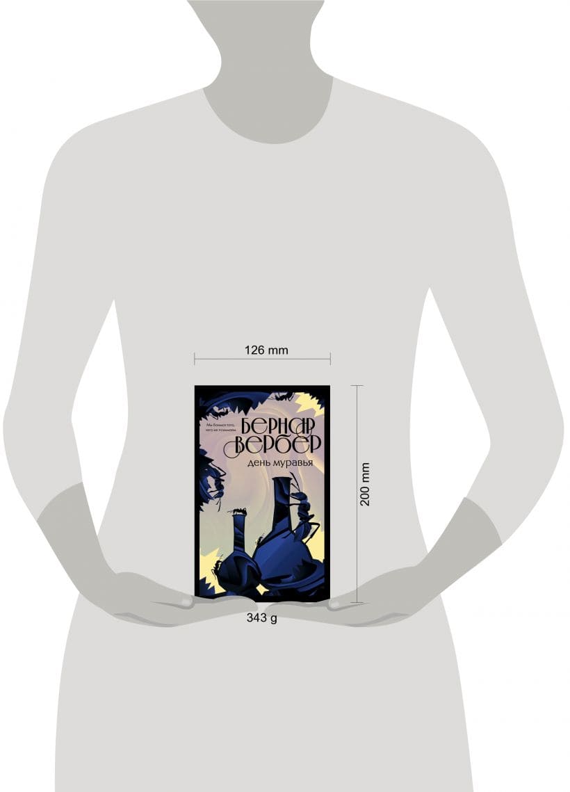 День муравья