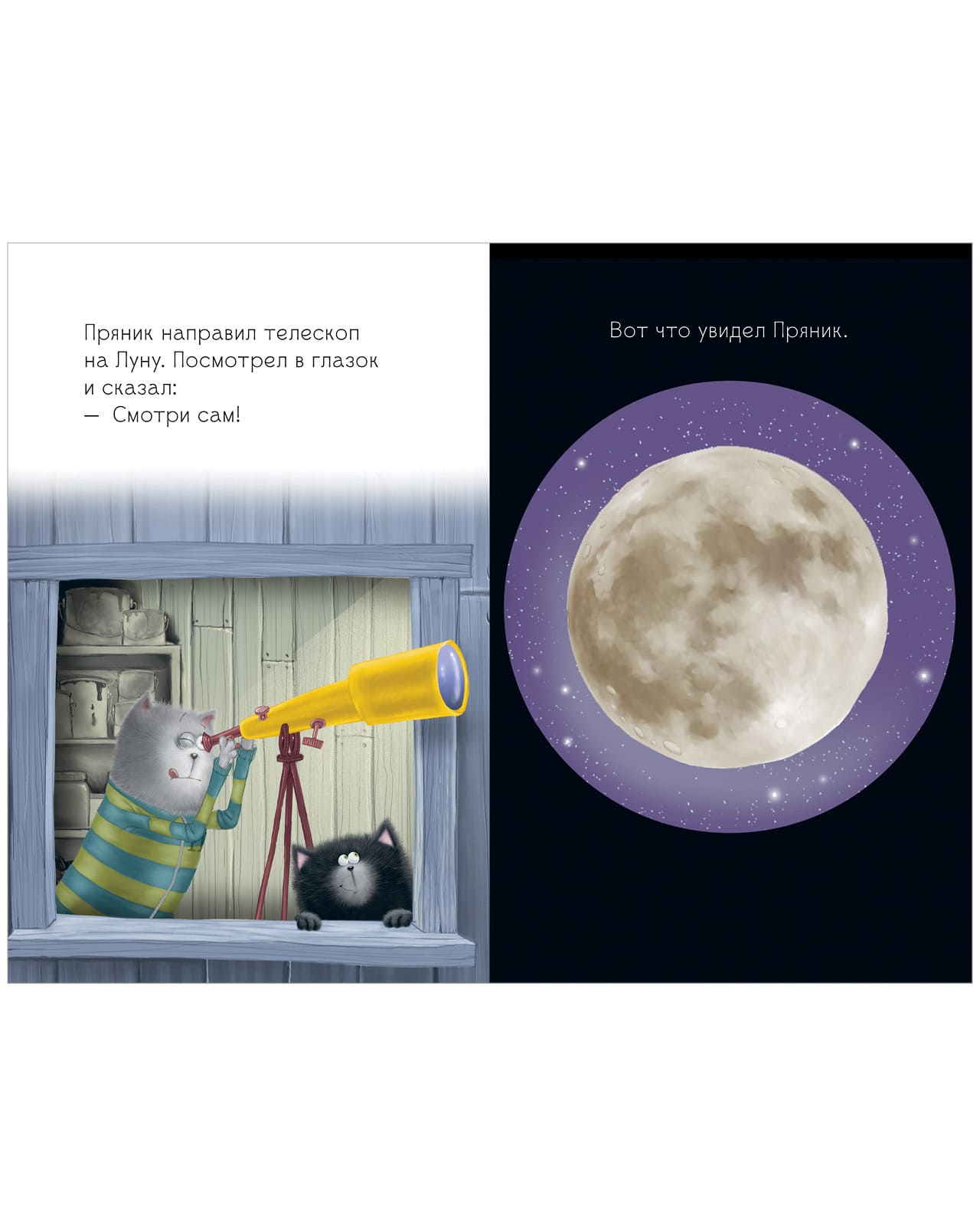 Котёнок Шмяк. Котёнок Шмяк и лунный кот