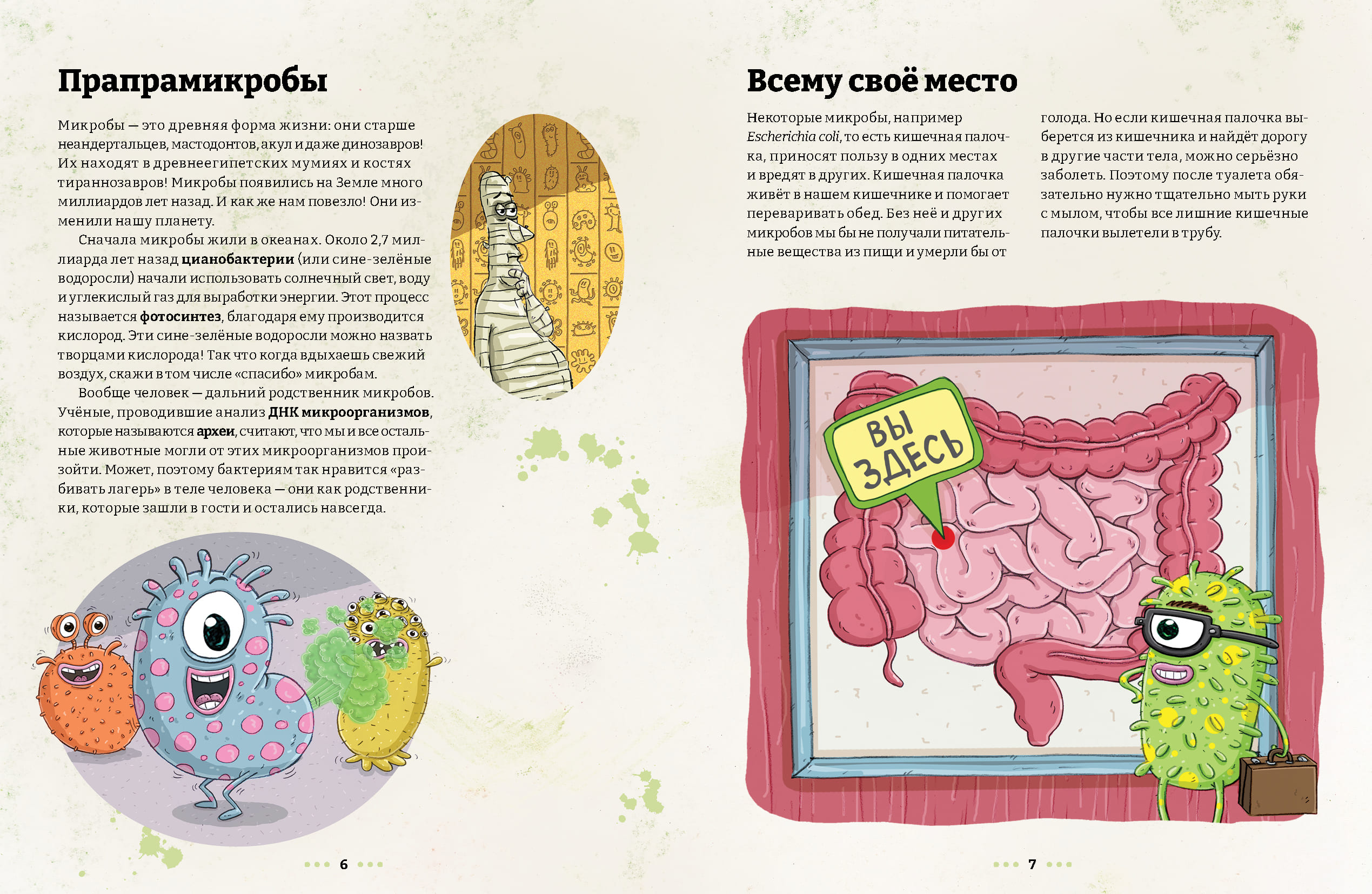 Микробоведение. Узнать о болезнях всё и остаться здоровым