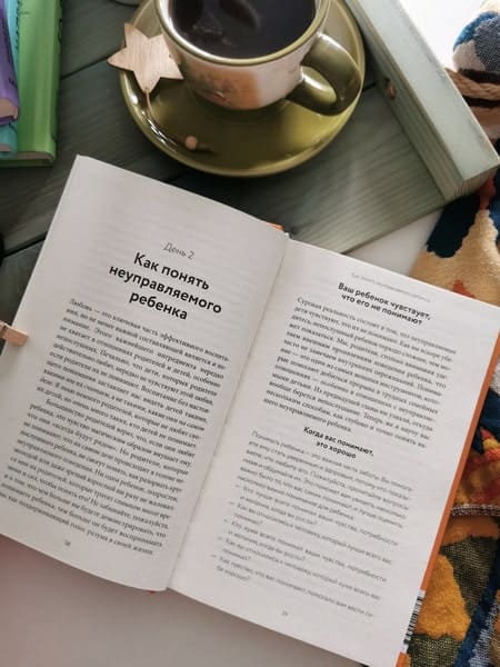 Неуправляемый ребёнок: что делать? Реальный метод для любящих родителей, которые уже перепробовали всё