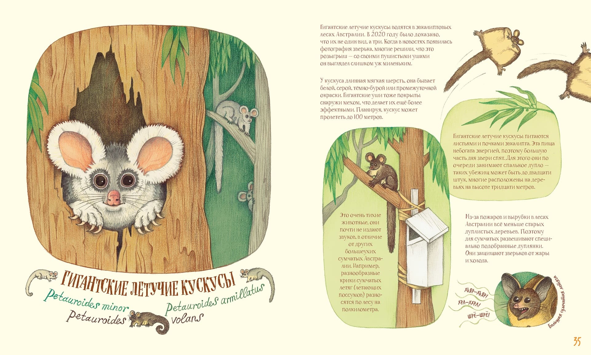 Удивительные уши