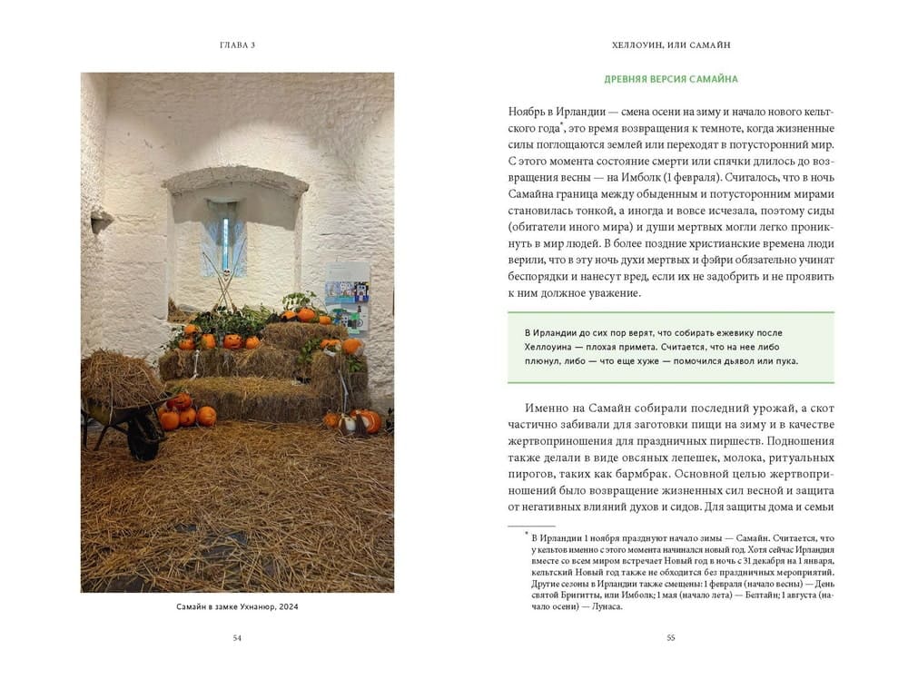 Ирландская культура смерти. «Весёлые поминки», духи иного мира и похитители тел