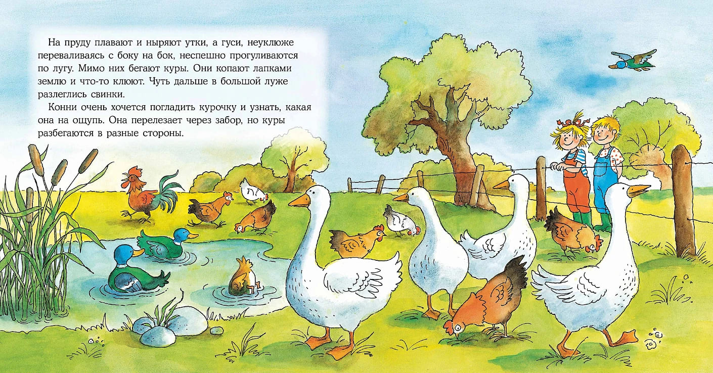 Конни на ферме