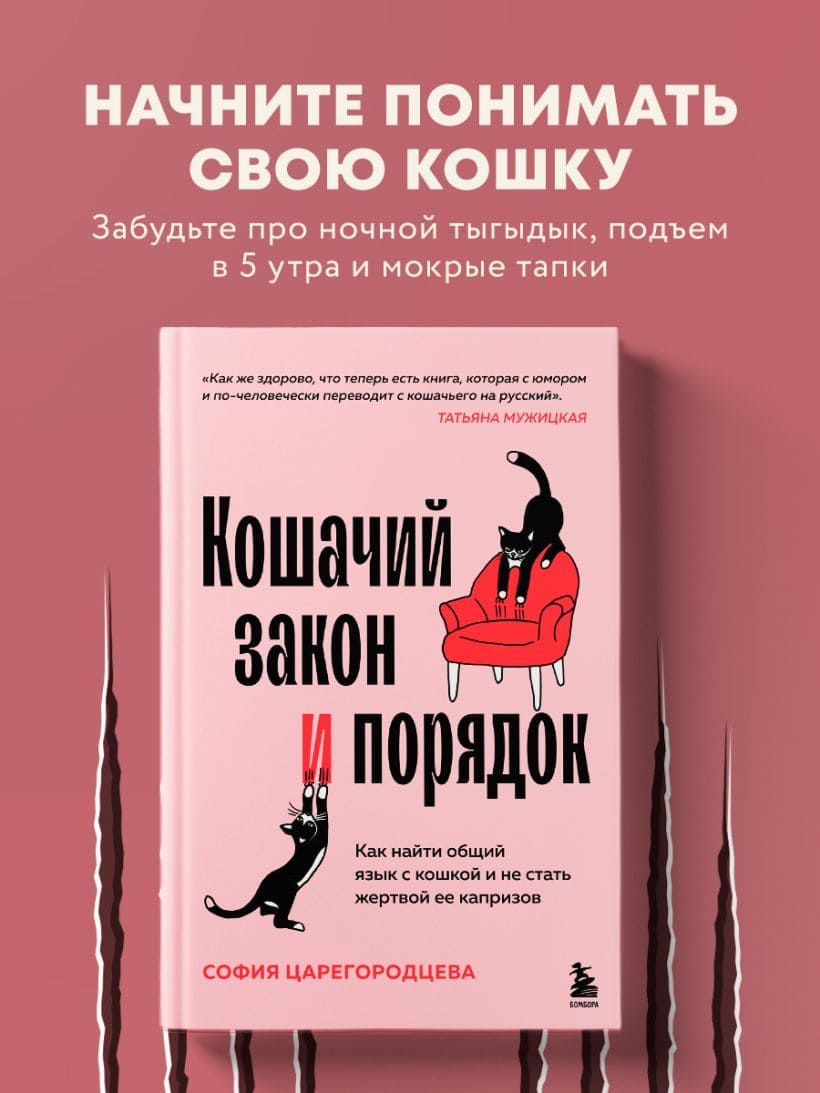 Кошачий закон и порядок. Как найти общий язык с кошкой и не стать жертвой её капризов