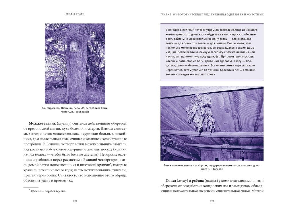 Мифы коми. От Пармы и небесной охоты до лесной колдуньи Ёмы и подземной чуди