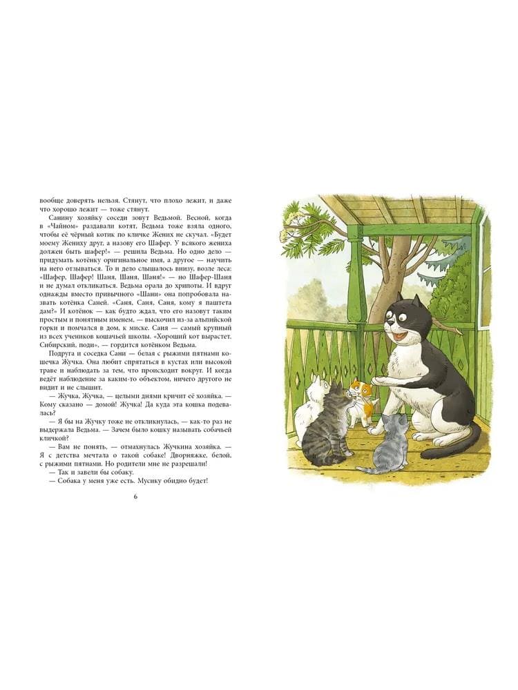 Учитесь у кошек