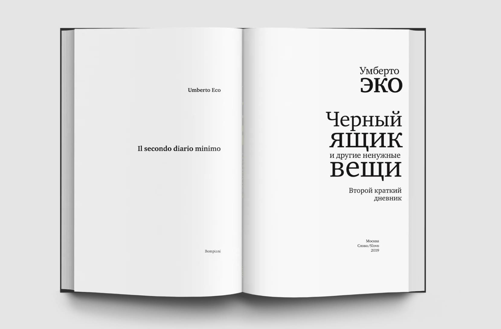 Чёрный ящик и другие ненужные вещи. Второй краткий дневник: эссе