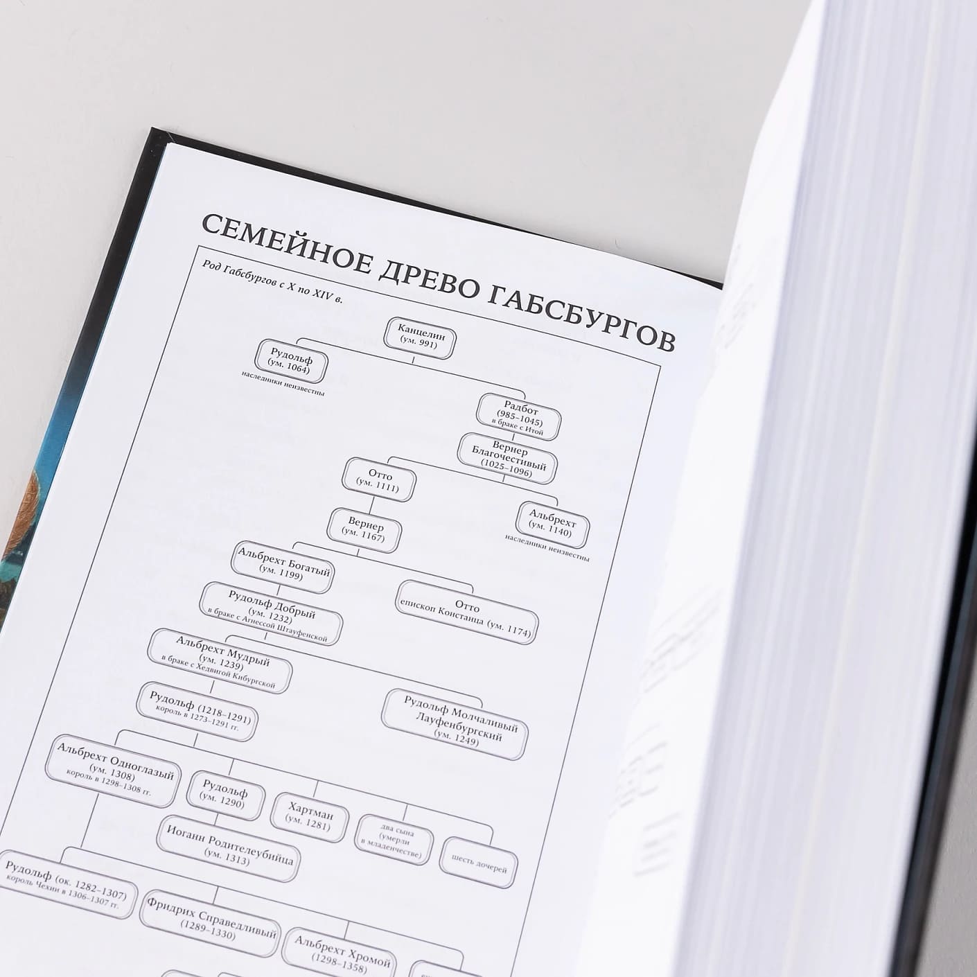 Габсбурги: Власть над миром