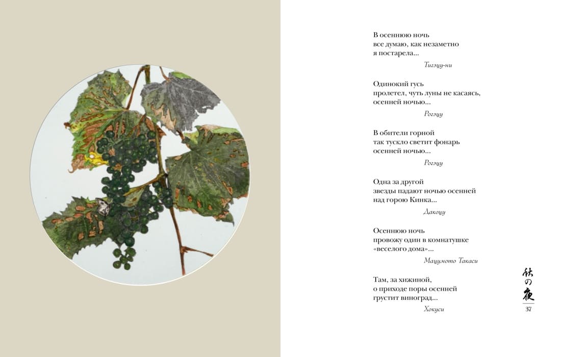 Мир в капле дождя. Осень. Зима. Хайку на все времена