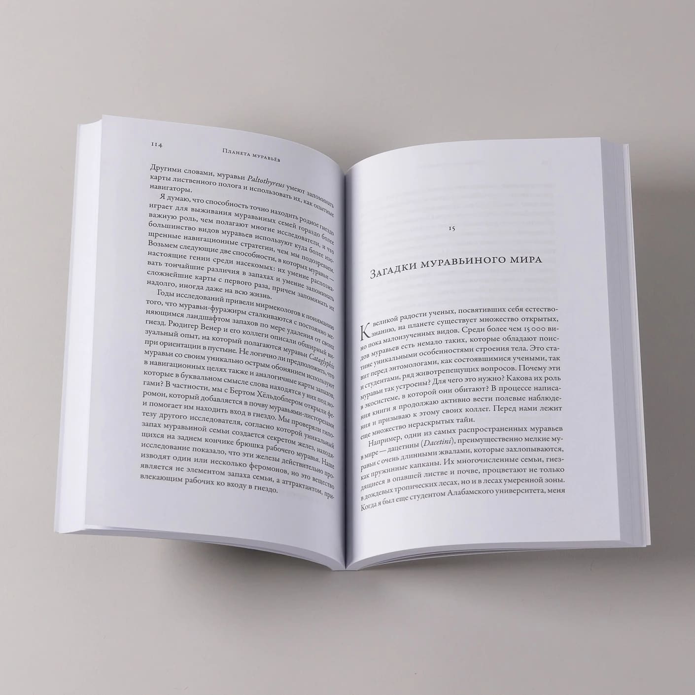 Планета муравьёв