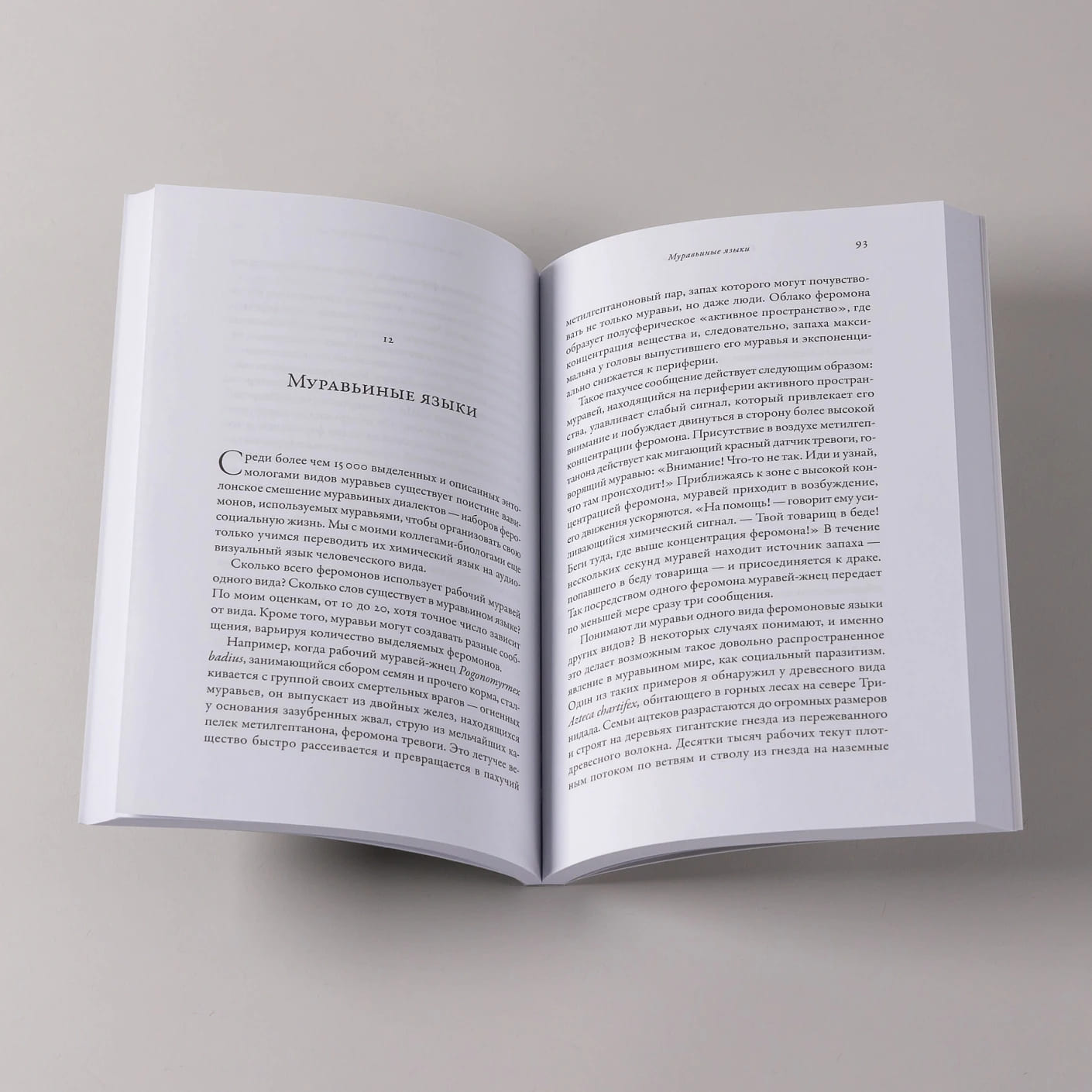 Планета муравьёв