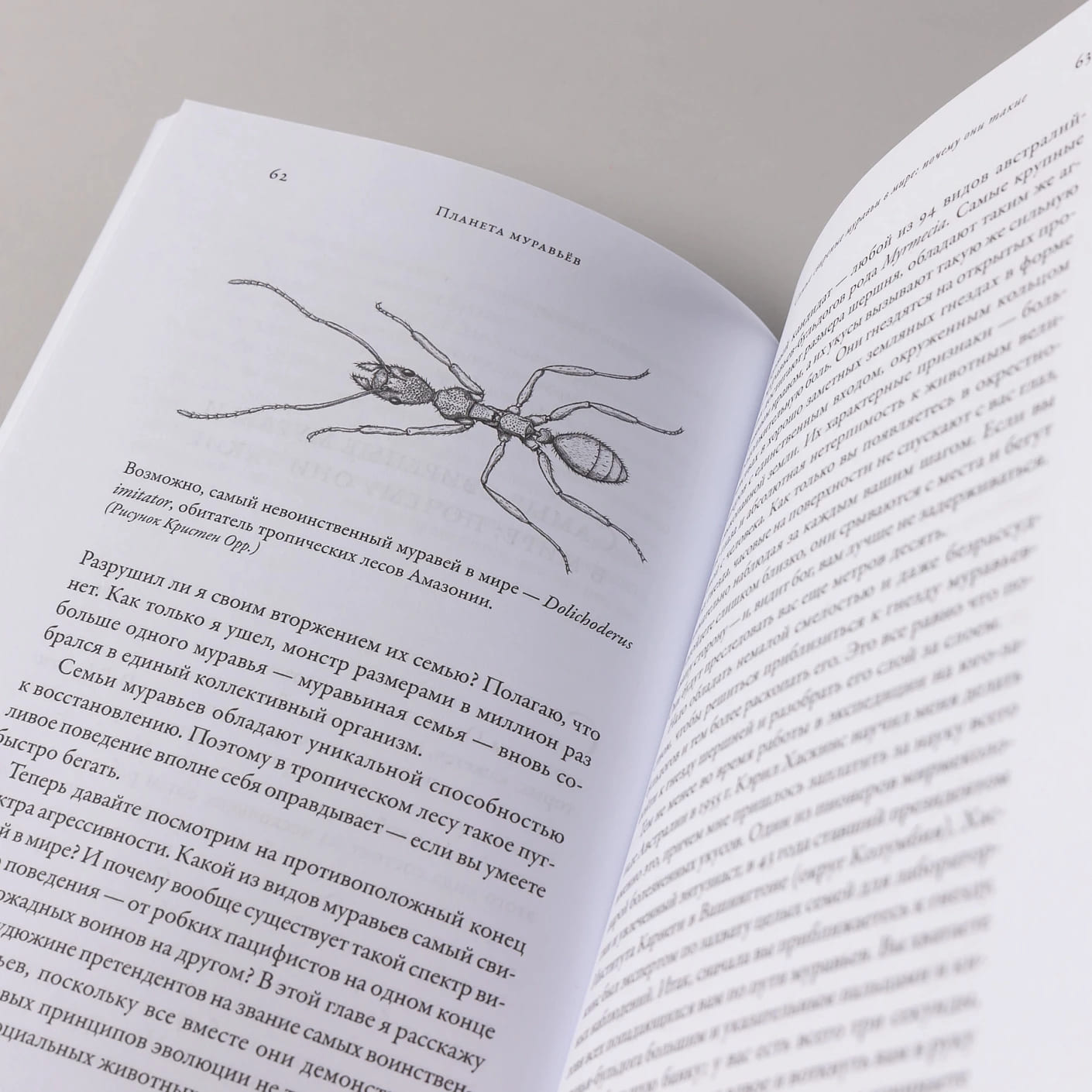 Планета муравьёв