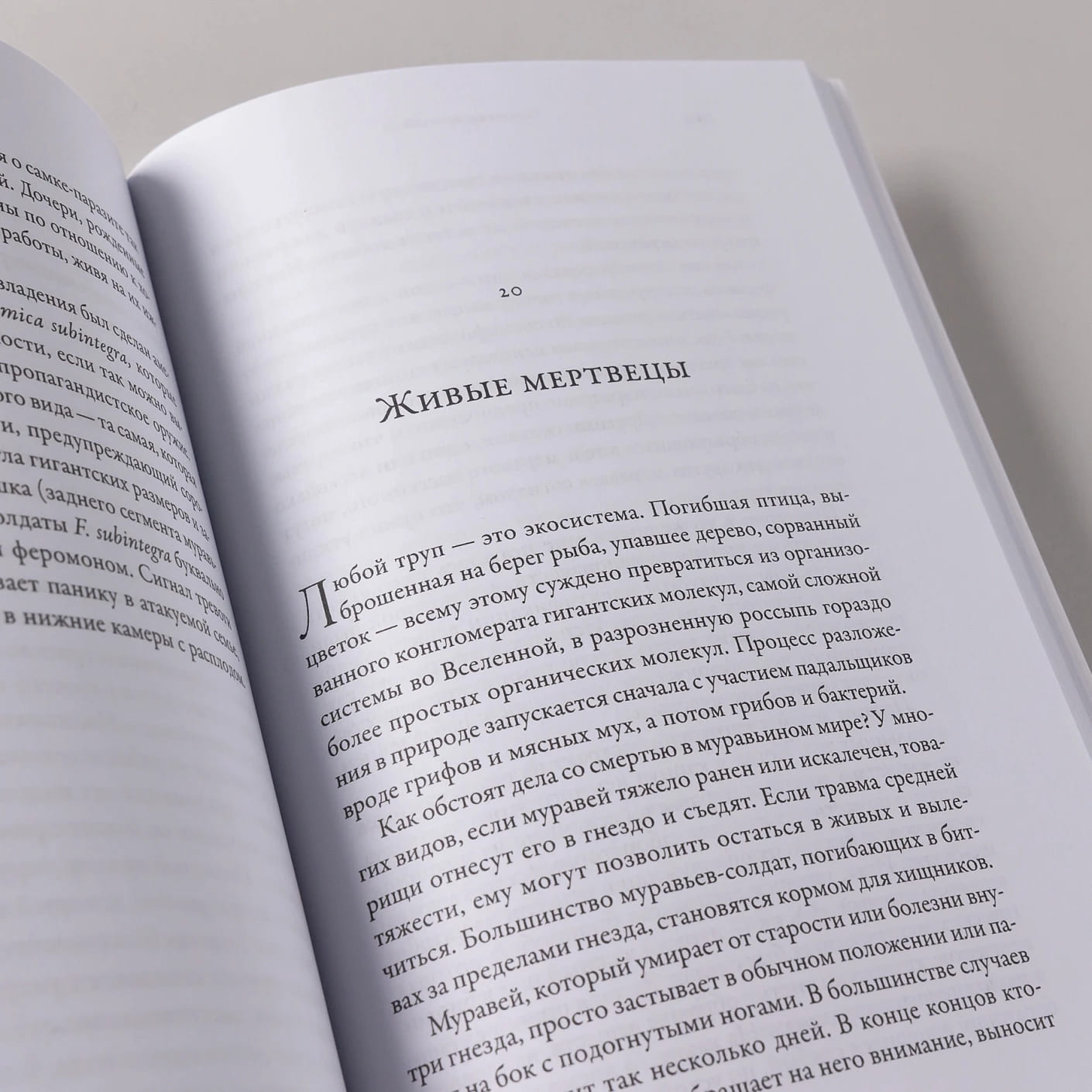 Планета муравьёв