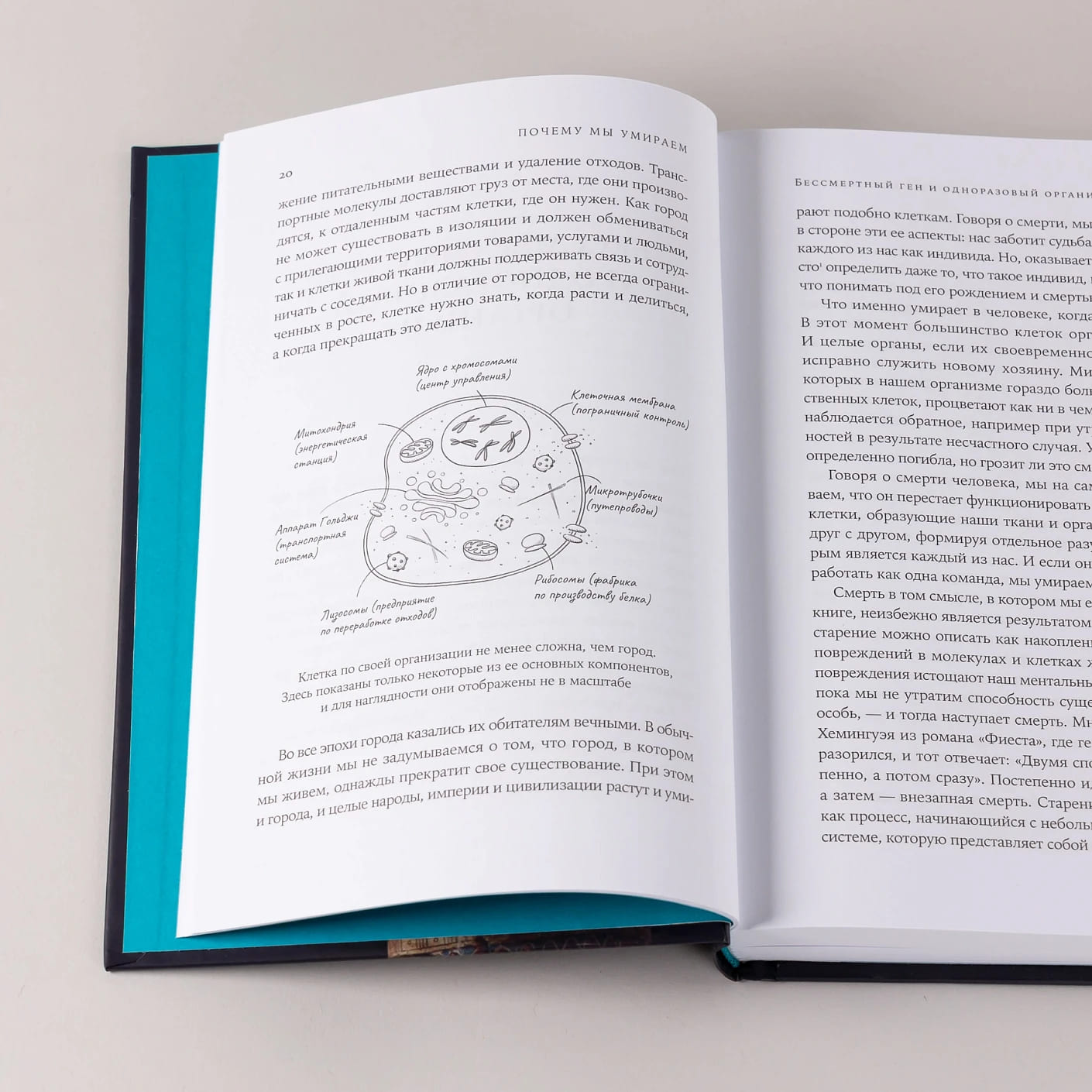 Почему мы умираем: Передовая наука о старении и поиск бессмертия