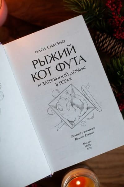 Рыжий кот Фута и затерянный домик в горах