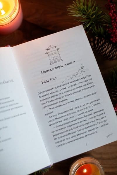 Рыжий кот Фута и затерянный домик в горах