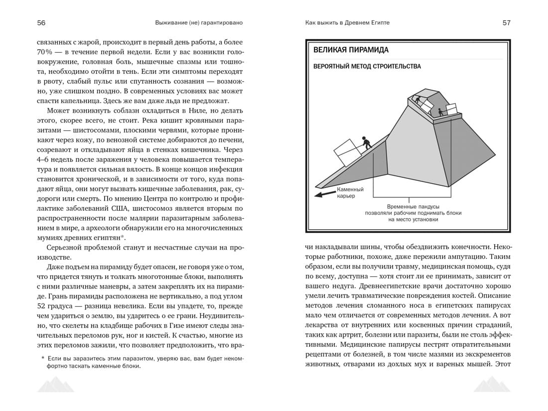 Выживание (не) гарантировано. Путешествие во времени вместе с историком