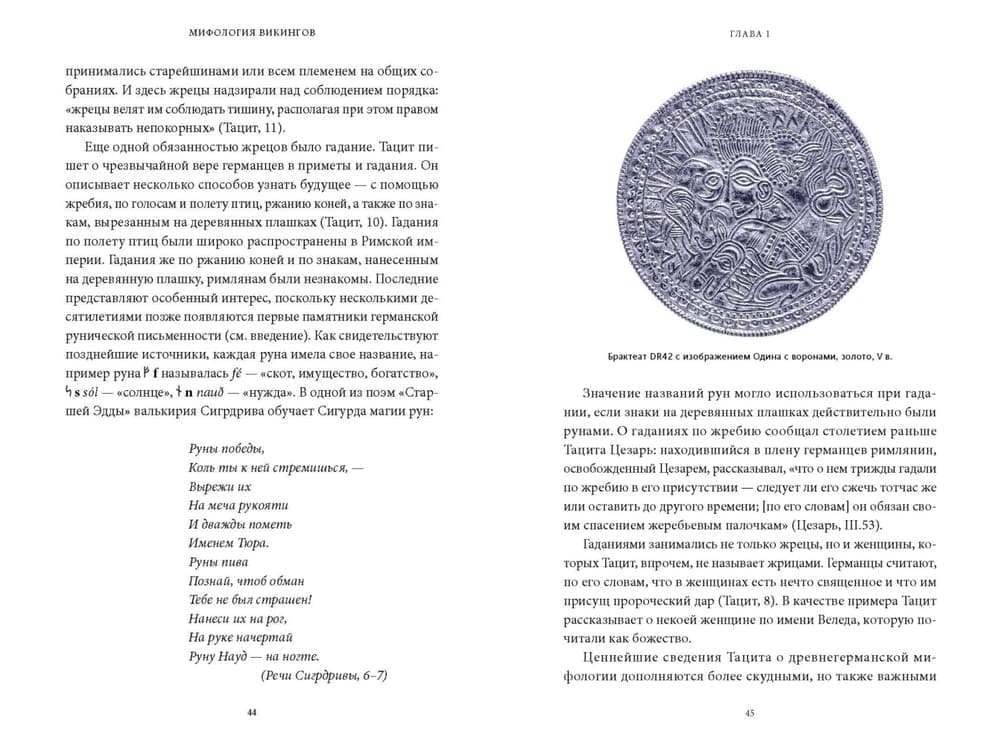 Мифология викингов. От кошек Фрейи и яблок Идунн до мировой бездны и «Сумерек богов»