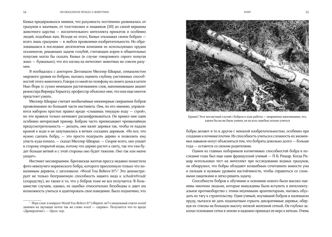 Неожиданная правда о животных: Муравей-тунеядец, влюблённый бегемот, феминистка гиена и другие дикие