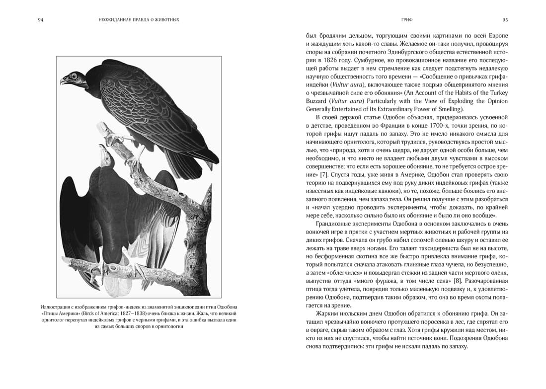 Неожиданная правда о животных: Муравей-тунеядец, влюблённый бегемот, феминистка гиена и другие дикие