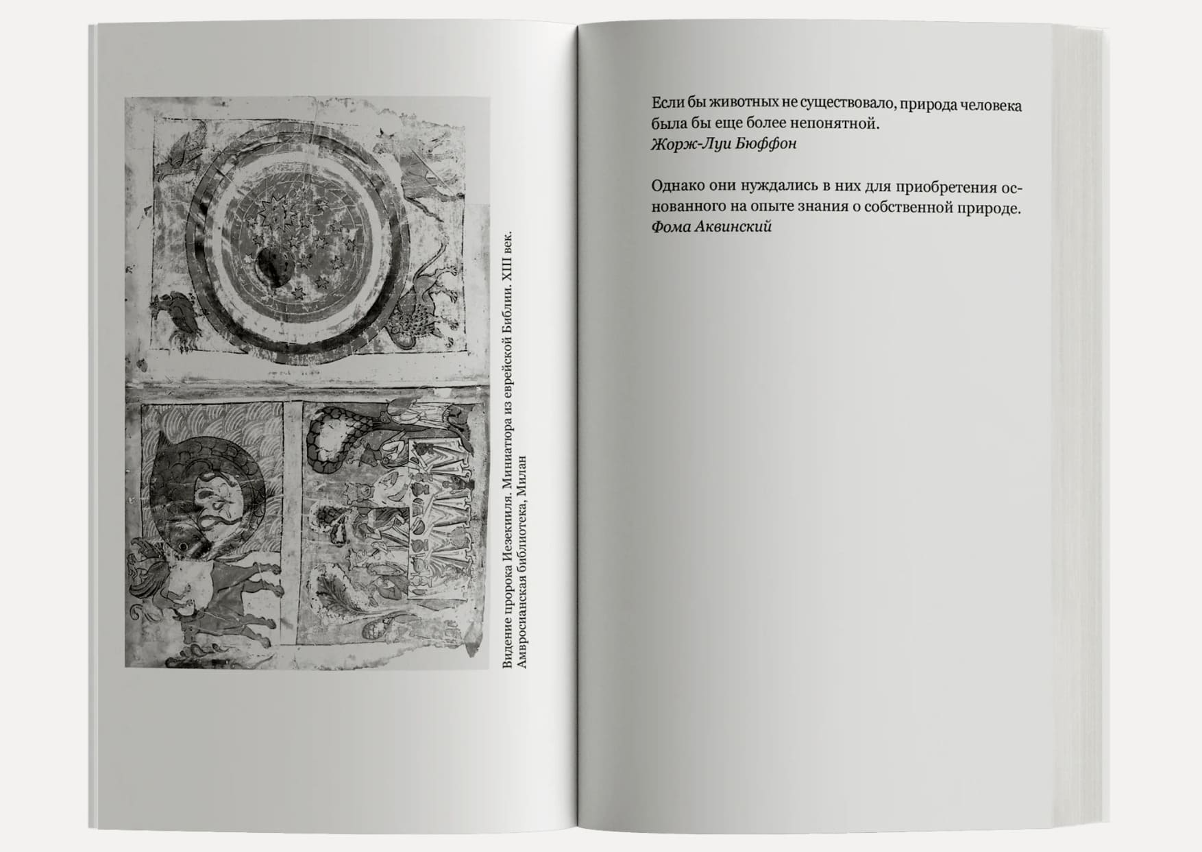 Открытое. Человек и животное