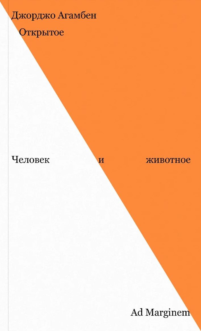 Открытое. Человек и животное