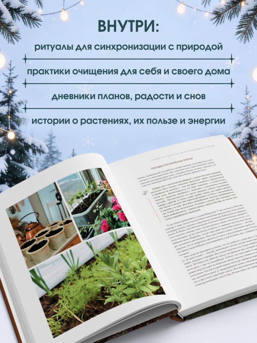 Шаманчай: год в гармонии с природой. Книга о растениях, их силах и применении
