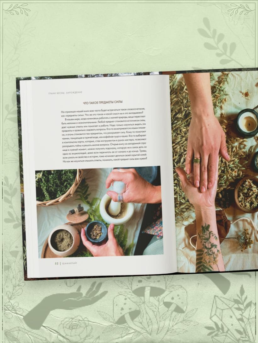 Шаманчай: год в гармонии с природой. Книга о растениях, их силах и применении