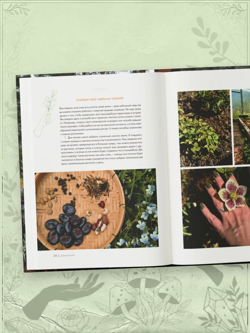 Шаманчай: год в гармонии с природой. Книга о растениях, их силах и применении