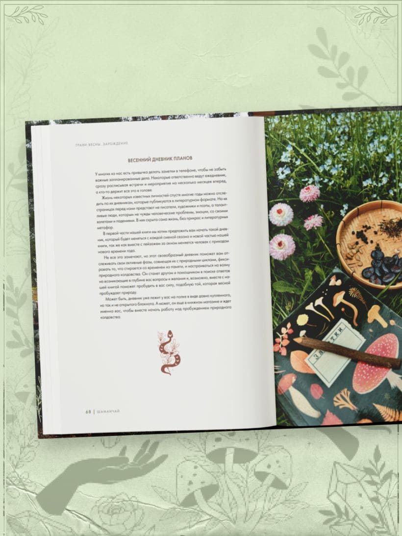 Шаманчай: год в гармонии с природой. Книга о растениях, их силах и применении