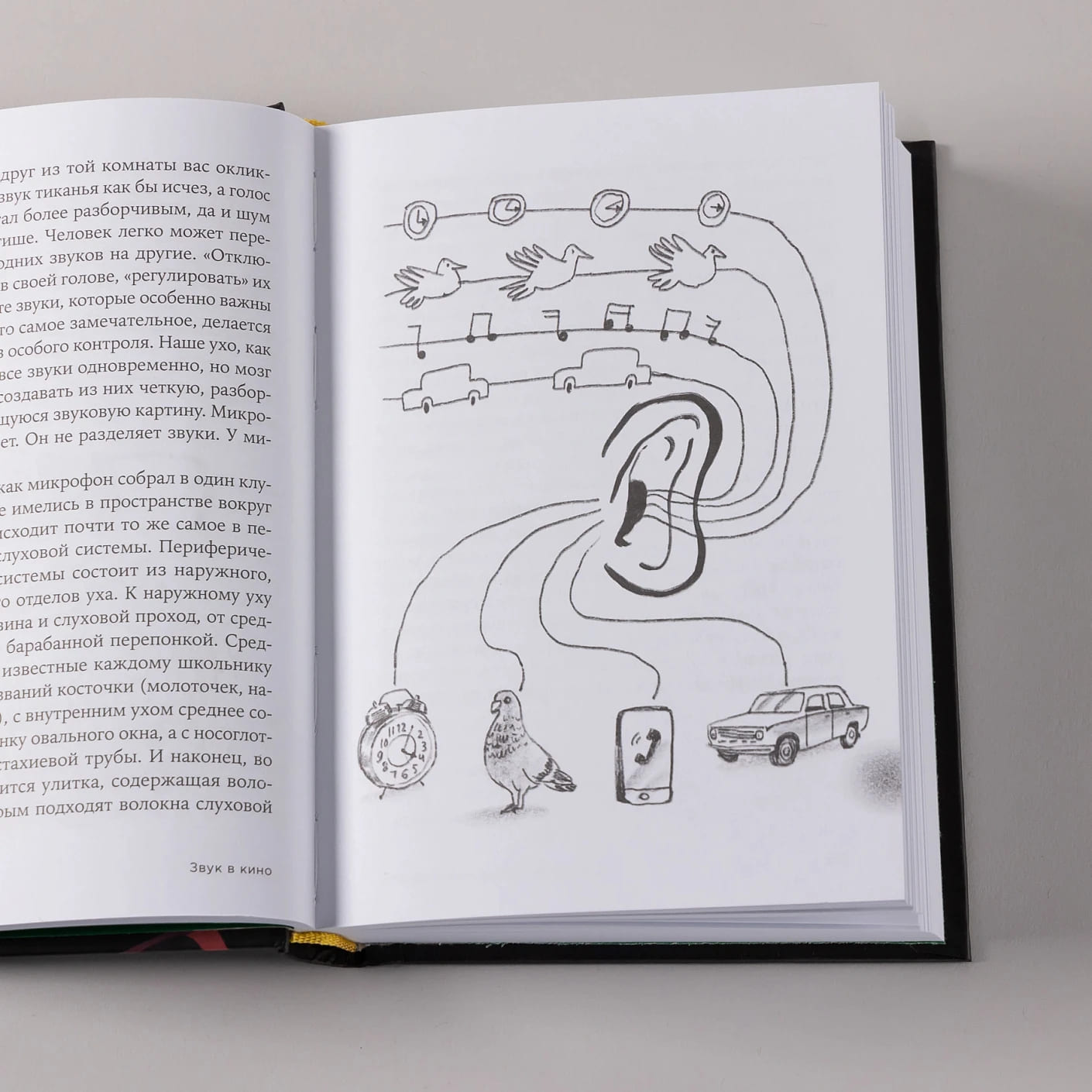 Звук в кино: Как создаются иллюзии