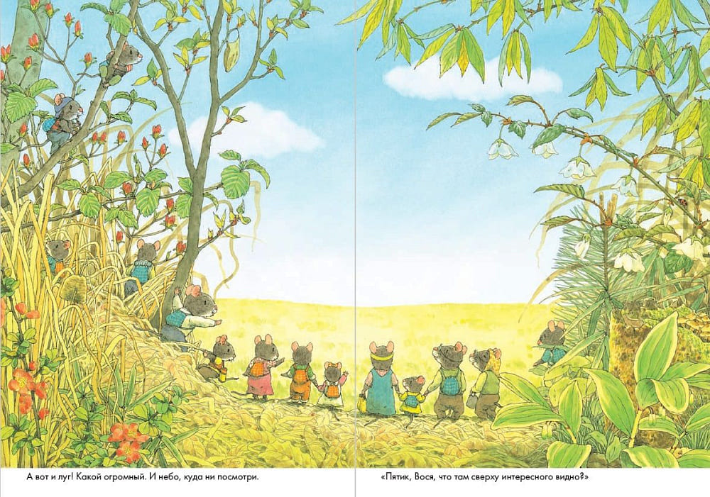 14 лесных мышей. Пикник