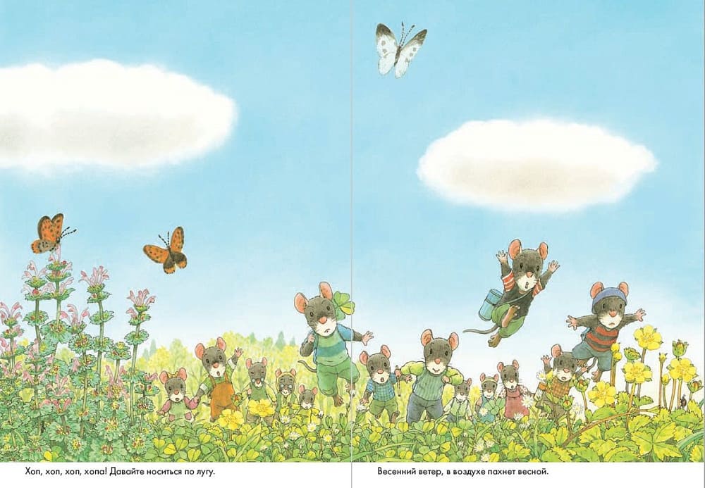 14 лесных мышей. Пикник