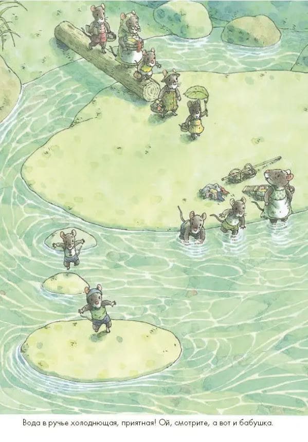 14 лесных мышей. Стирка