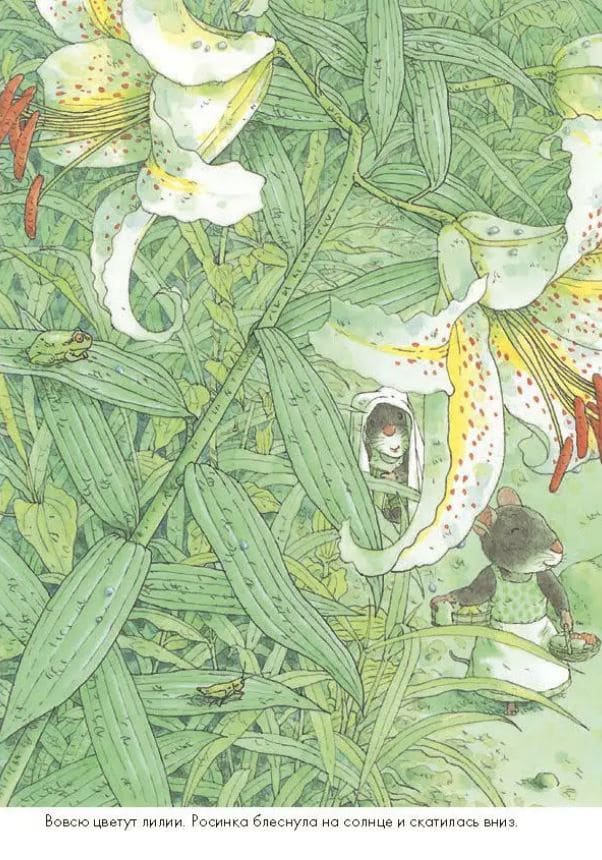 14 лесных мышей. Стирка