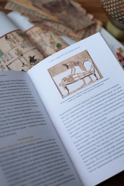 Культы Древнего Египта. От обожествленного солнца и золотой плоти царя до птицы Бену и бога Нуна