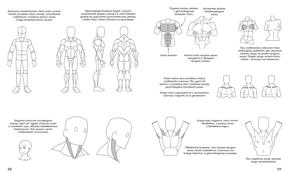 Манга. Простые уроки для начинающих