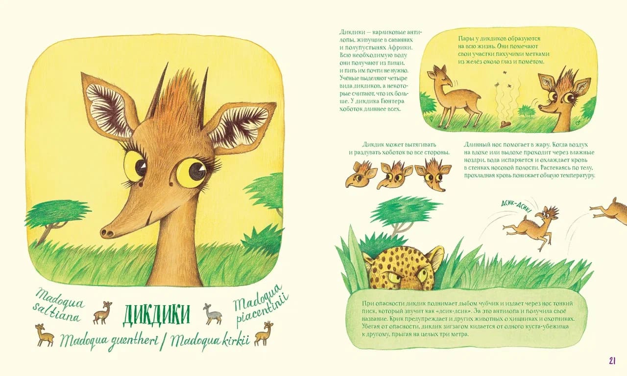 Невероятные носы