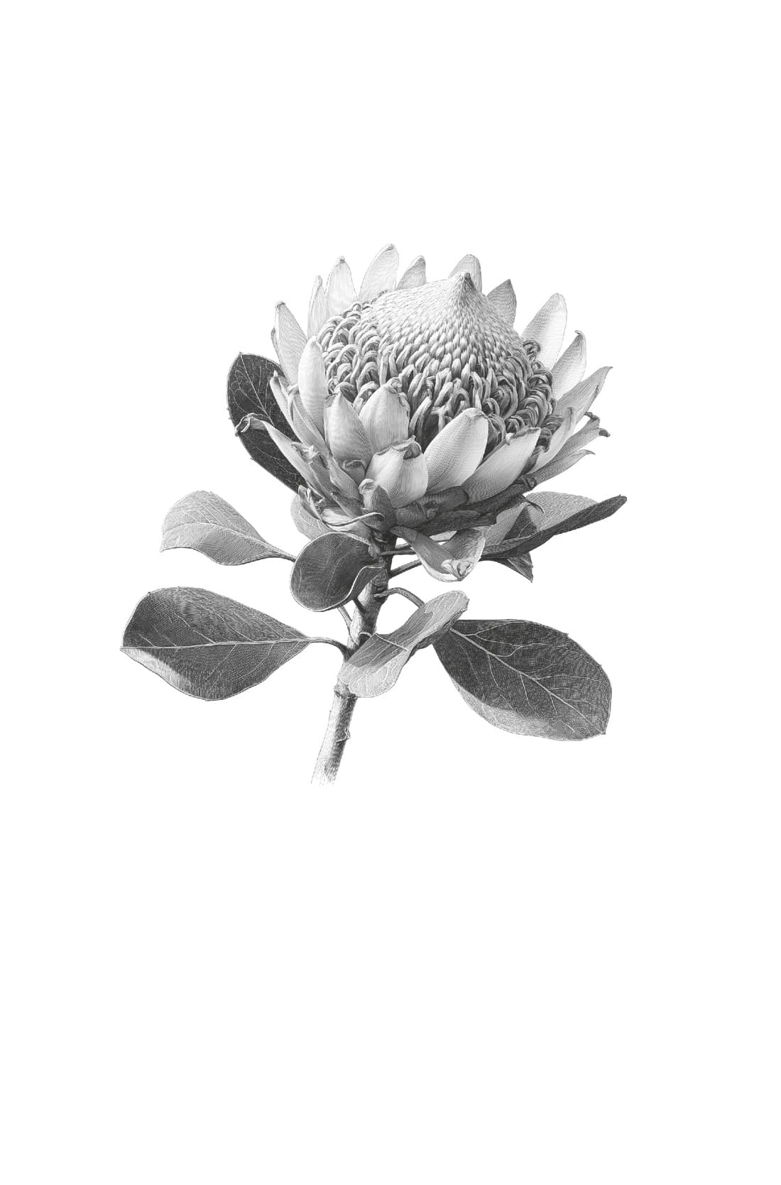 Потерянные цветы Элис Харт