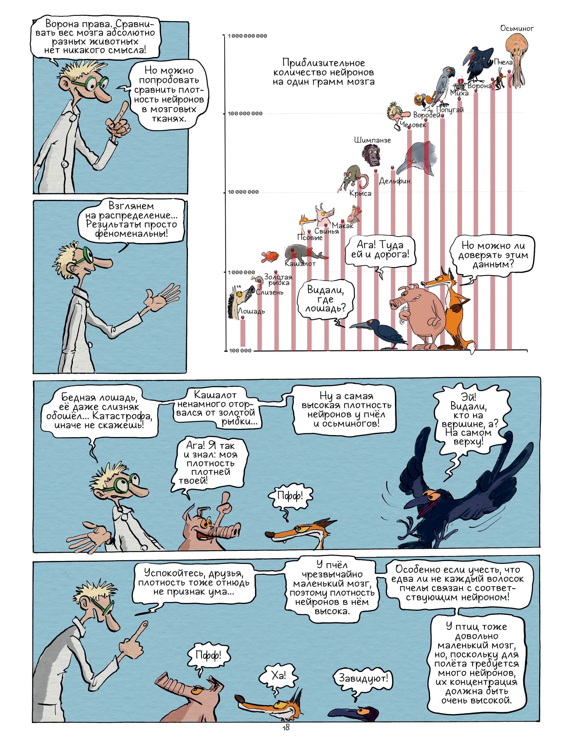 Самое умное животное на Земле