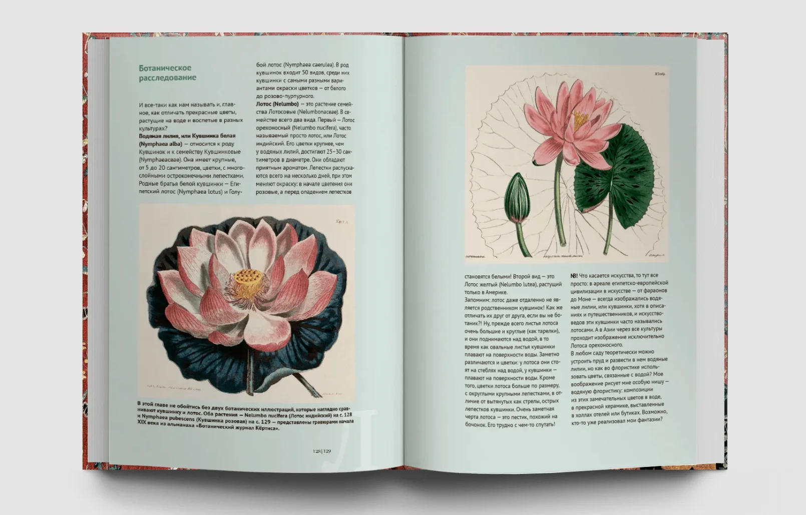 Искусство и флора. От Аканта до Яблони