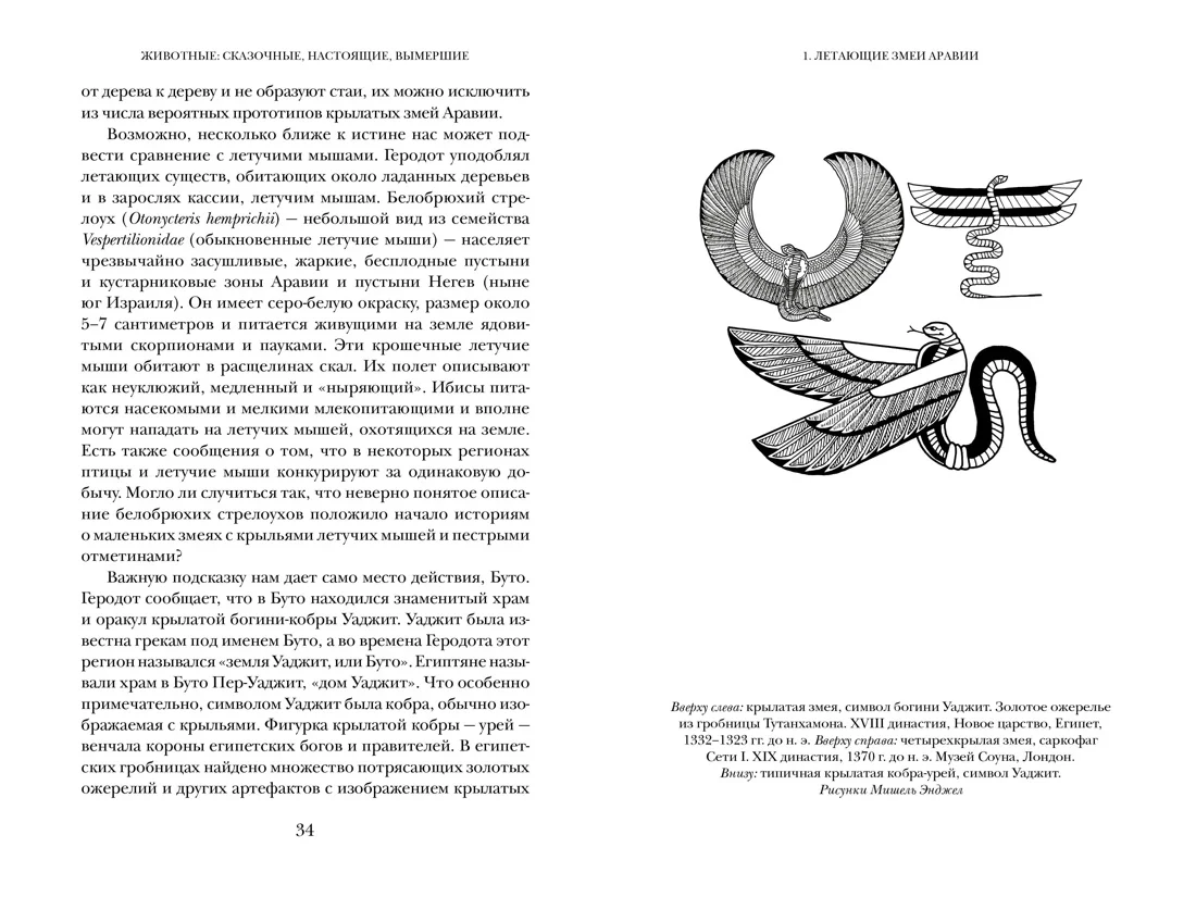 Когти грифона и летающие змеи: Древние мифы, исторические диковинки и научные курьёзы