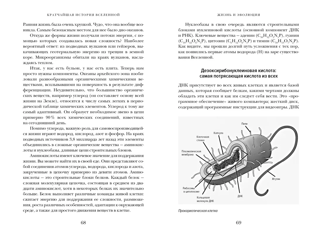 Кратчайшая история Вселенной: От Большого взрыва до наших дней (в сверхдоступном изложении)